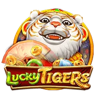 WM Casino Provider